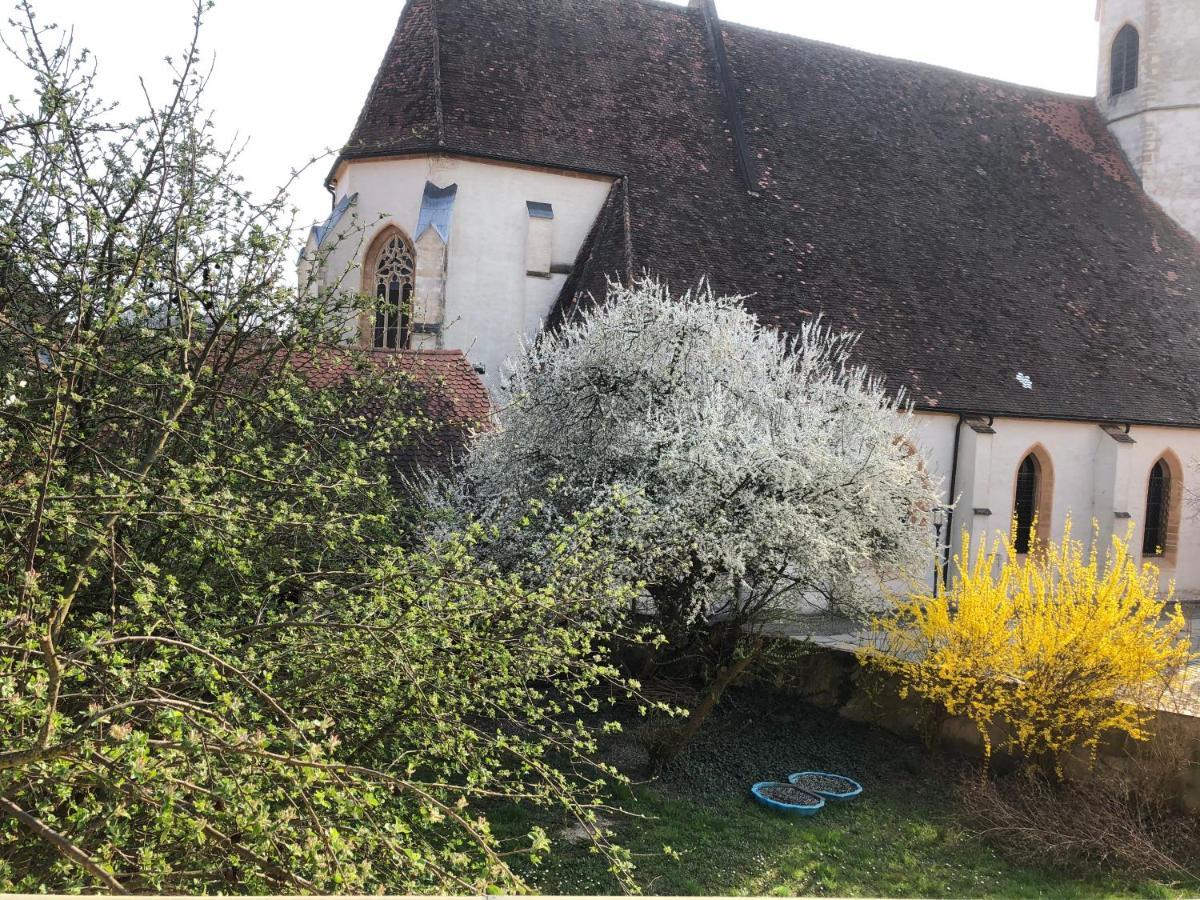 Altstadt-Apartments Bad Radkersburg - Ihr Zuhause Auf Reisen Εξωτερικό φωτογραφία